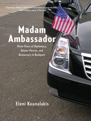 Madam Ambassador - ebook